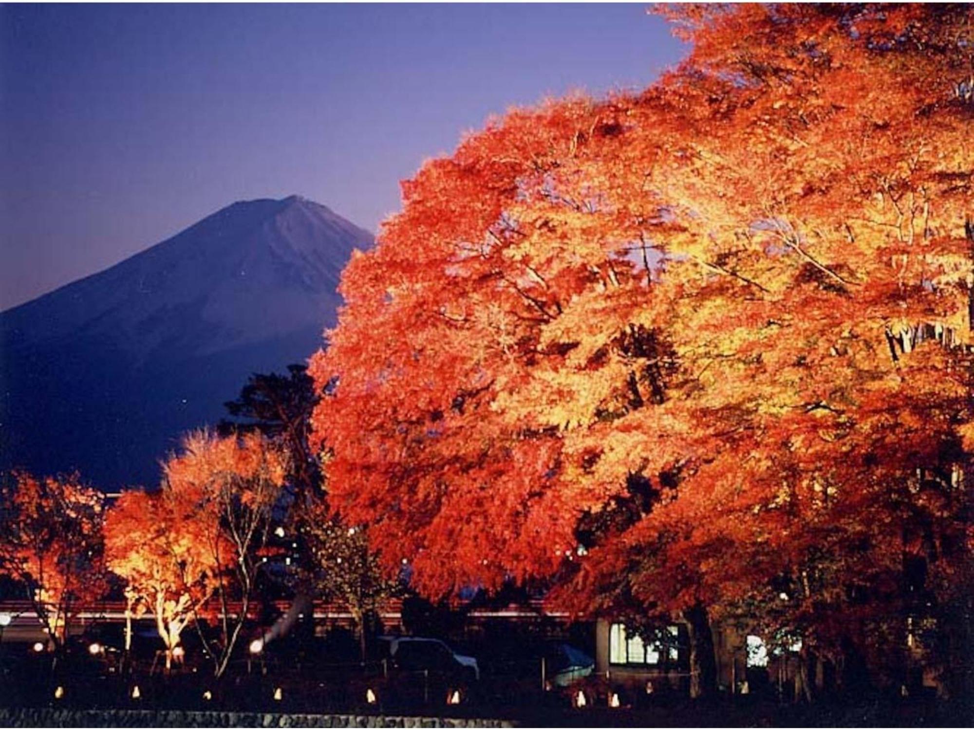 פוג'יקאוואגוצ'יקו Fujisan Resort Hotel - Vacation Stay 57971V מראה חיצוני תמונה